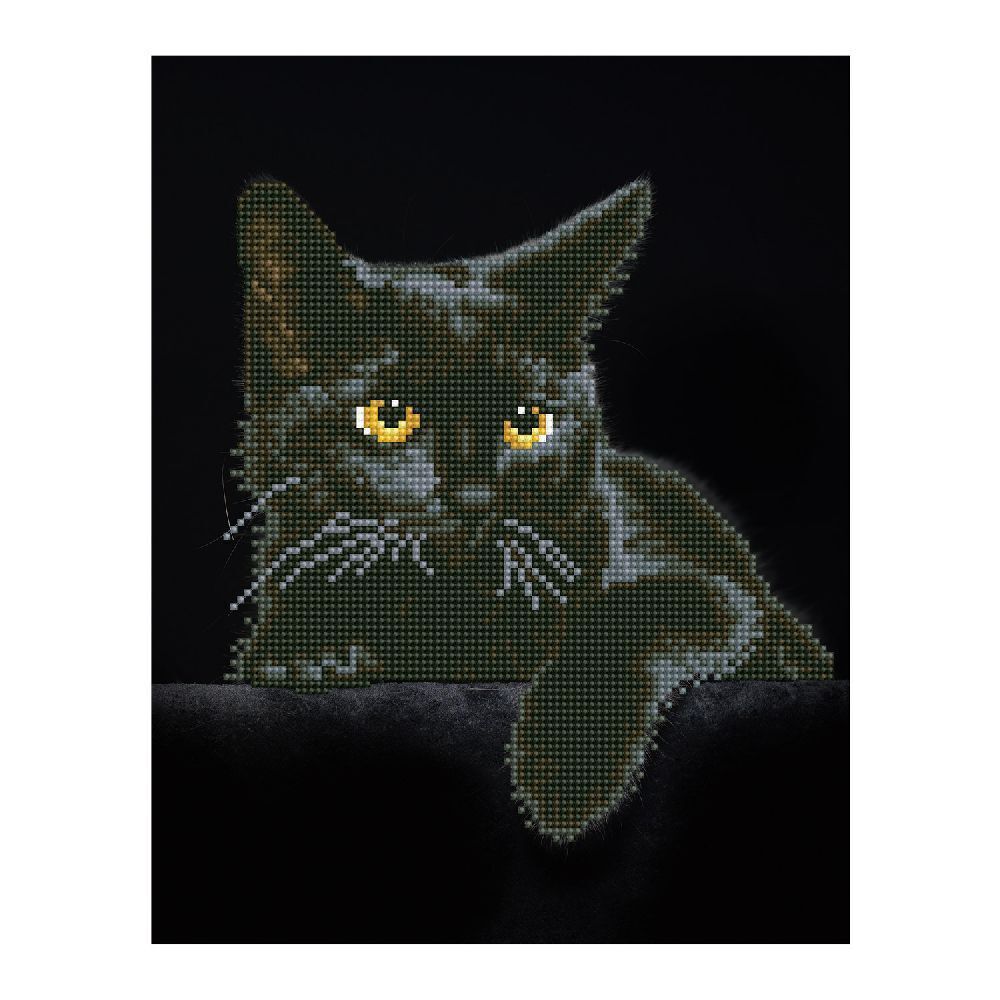 Cover: 4897073240671 | DIAMOND DOTZ - Diamond Painting Schwarze Katze | Stück | 2524067