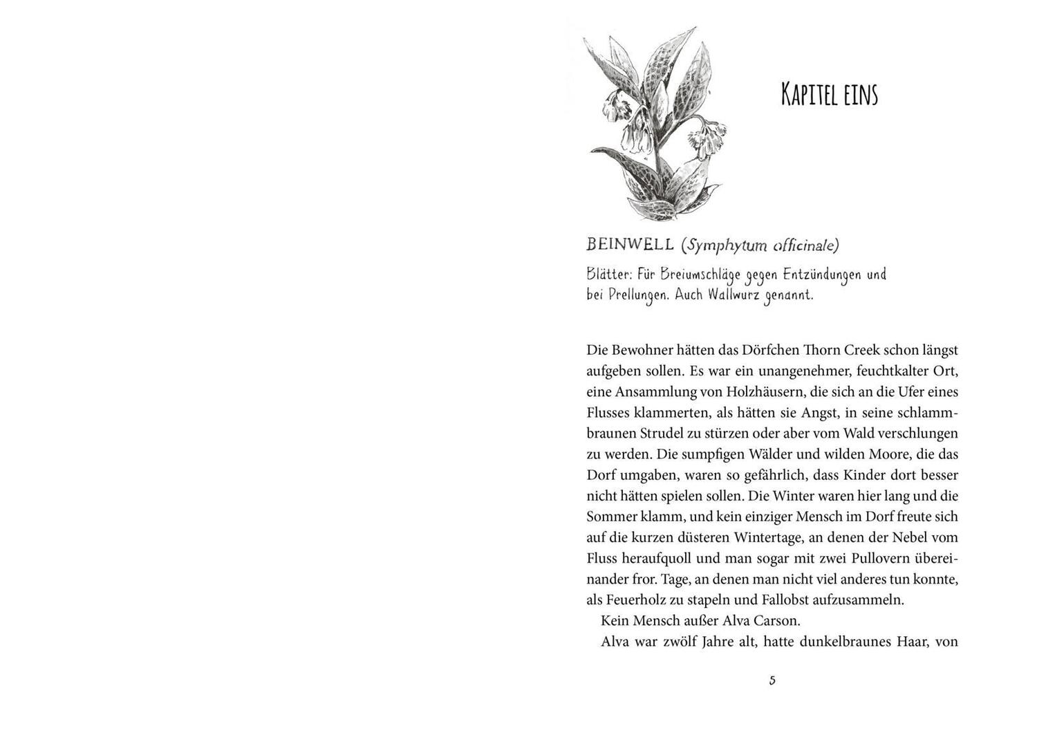 Bild: 9783522186018 | Alva und das Rätsel der flüsternden Pflanzen | Yarrow Townsend | Buch