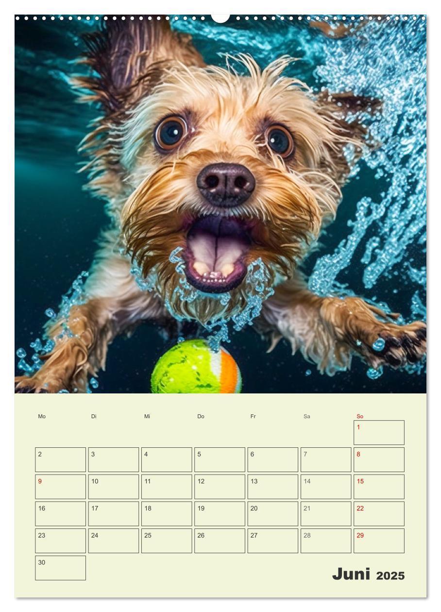 Bild: 9783435874200 | Yorkshire Terrier. Fröhliche Energiebündel in Aktion (Wandkalender...