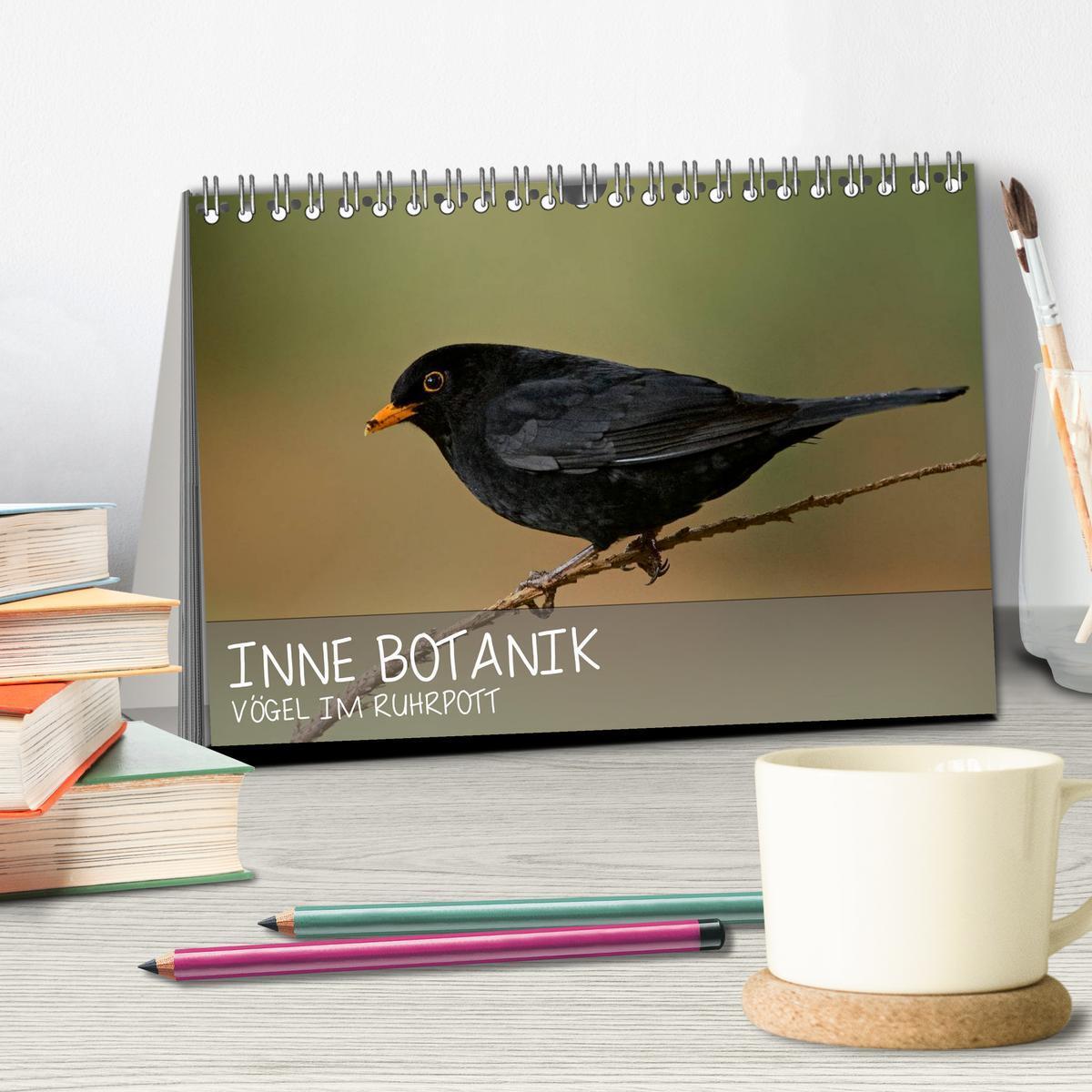 Bild: 9783435824953 | INNE BOTANIK - Vögel im Ruhrpott (Tischkalender 2025 DIN A5 quer),...