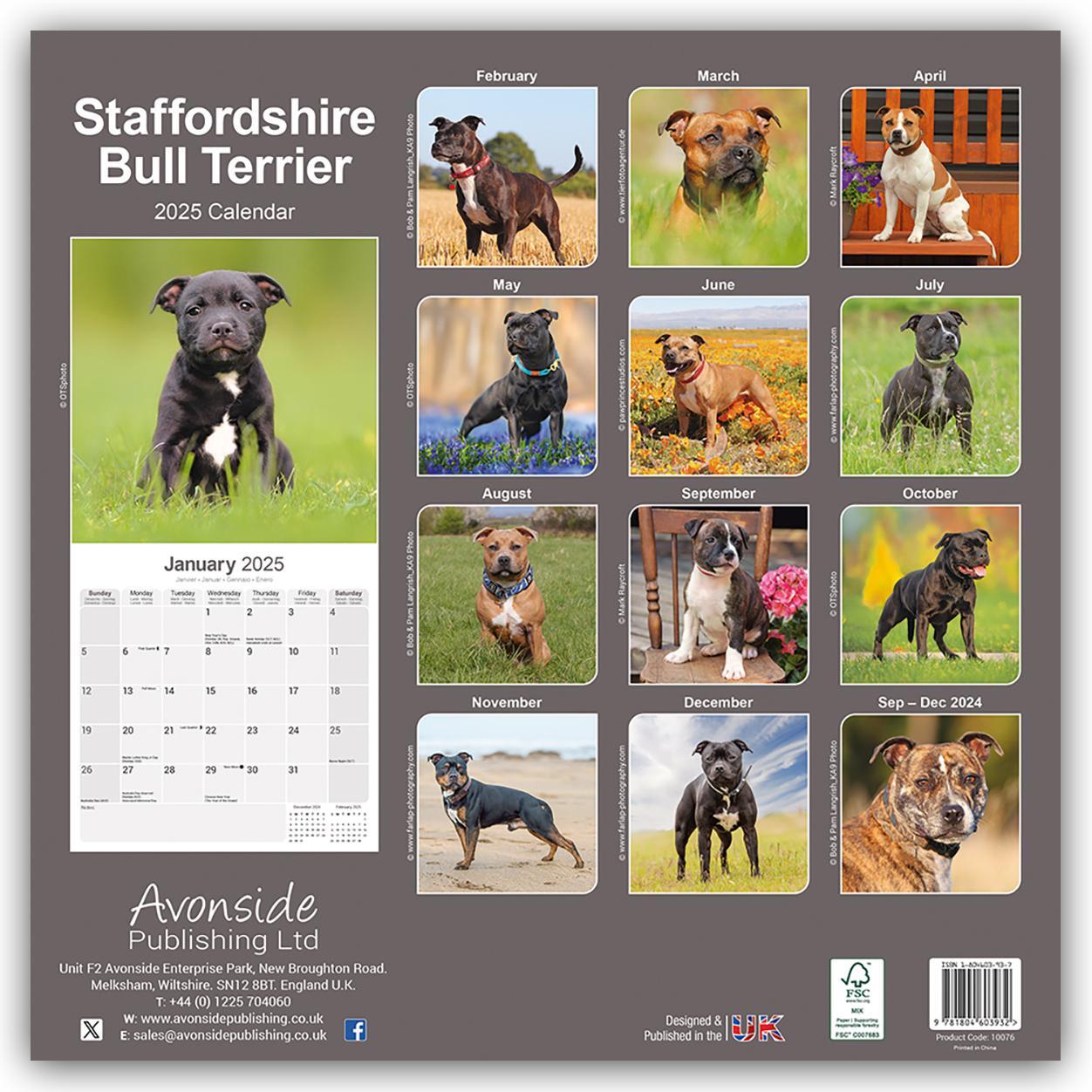 Rückseite: 9781804603932 | Staffordshire Bull Terrier - Staffordshire Bull Terrier 2025 -...