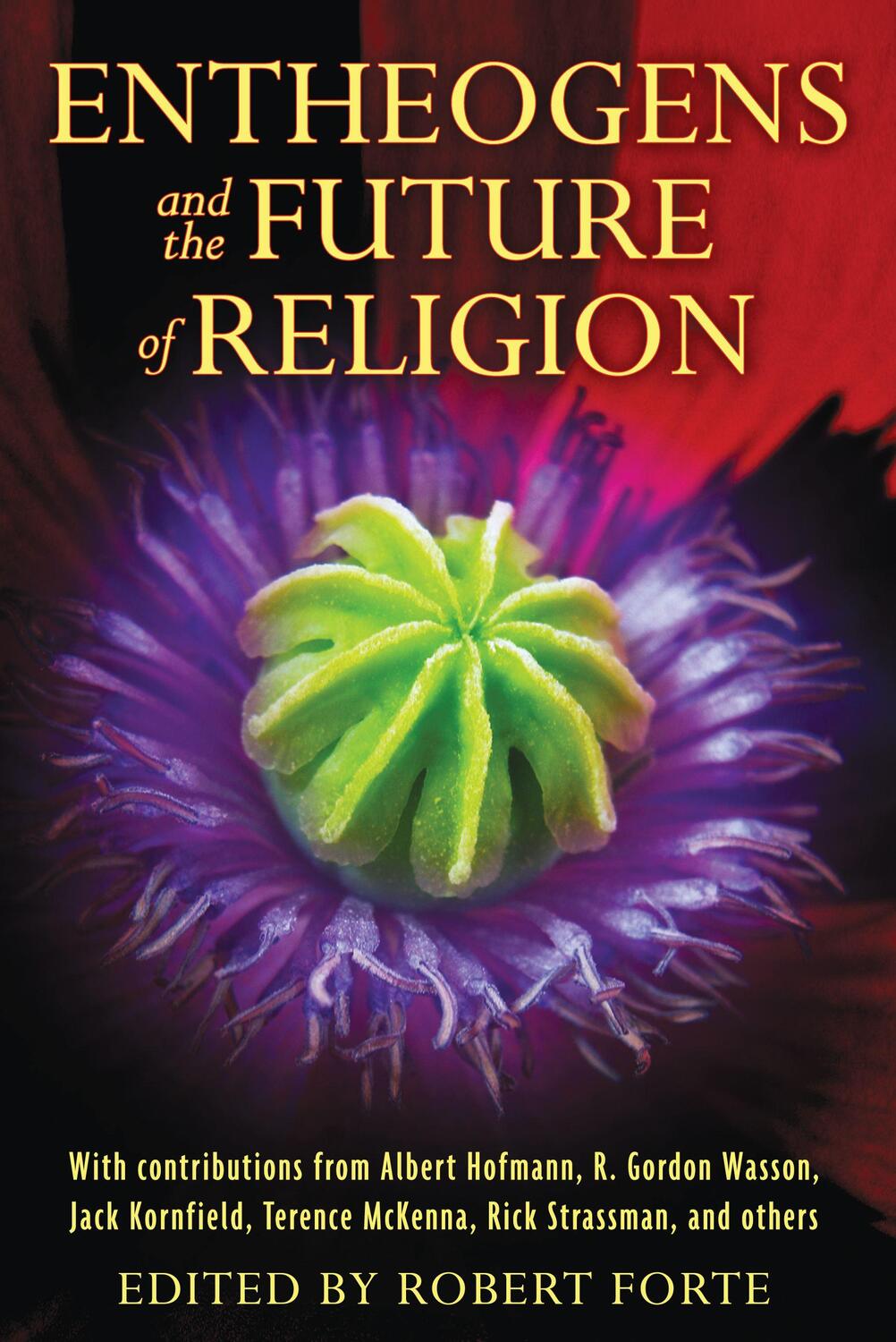 Cover: 9781594774386 | Entheogens and the Future of Religion | Robert Forte | Taschenbuch