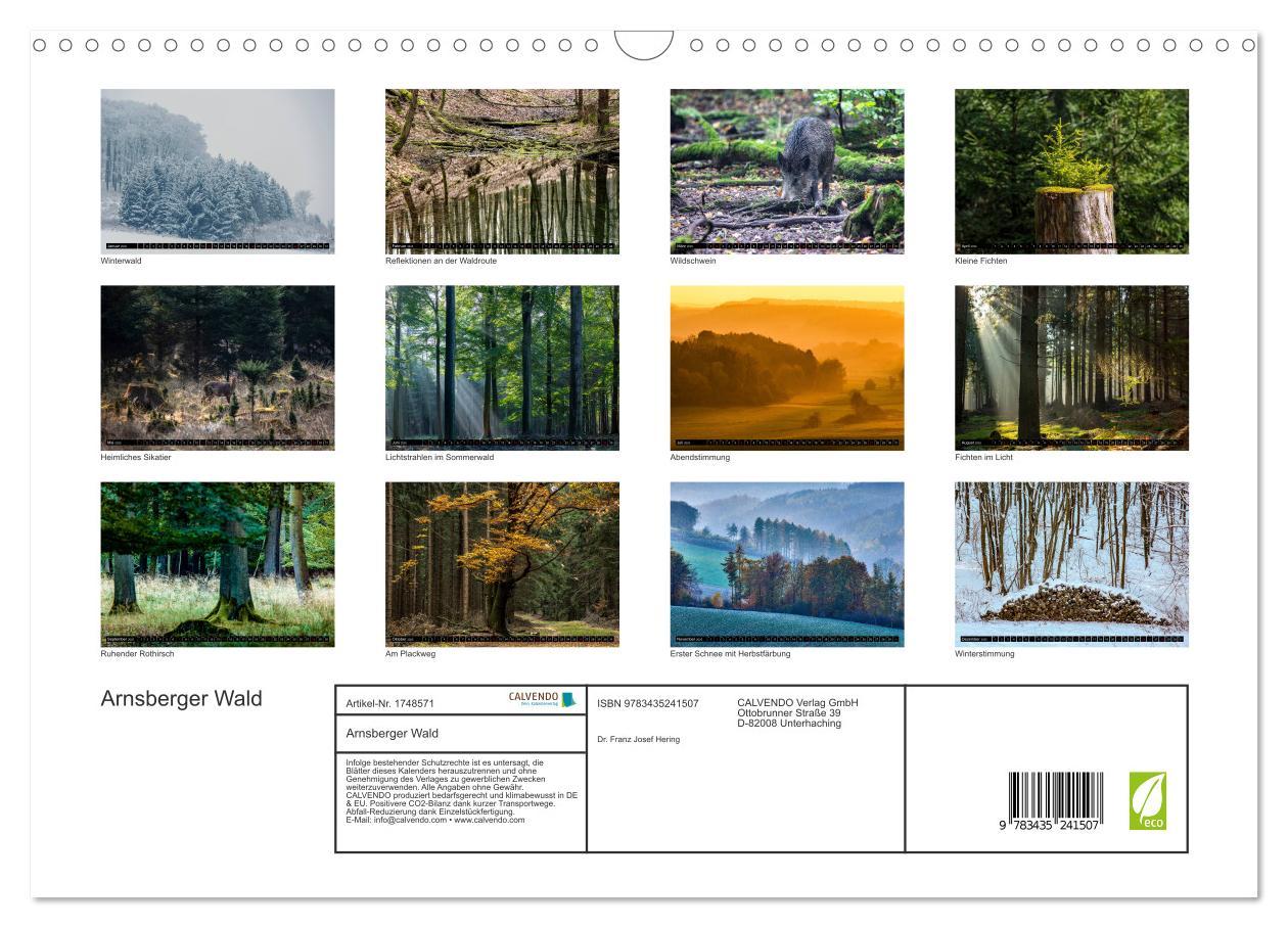 Bild: 9783435241507 | Arnsberger Wald (Wandkalender 2025 DIN A3 quer), CALVENDO...