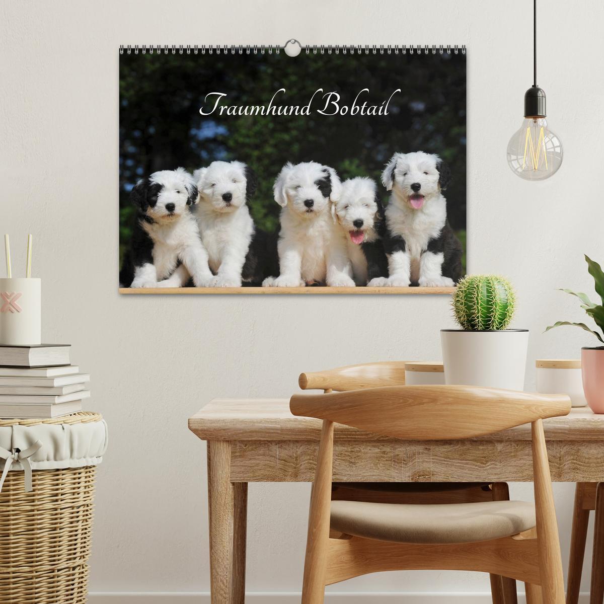 Bild: 9783435571680 | Traumhund Bobtail (Wandkalender 2025 DIN A3 quer), CALVENDO...