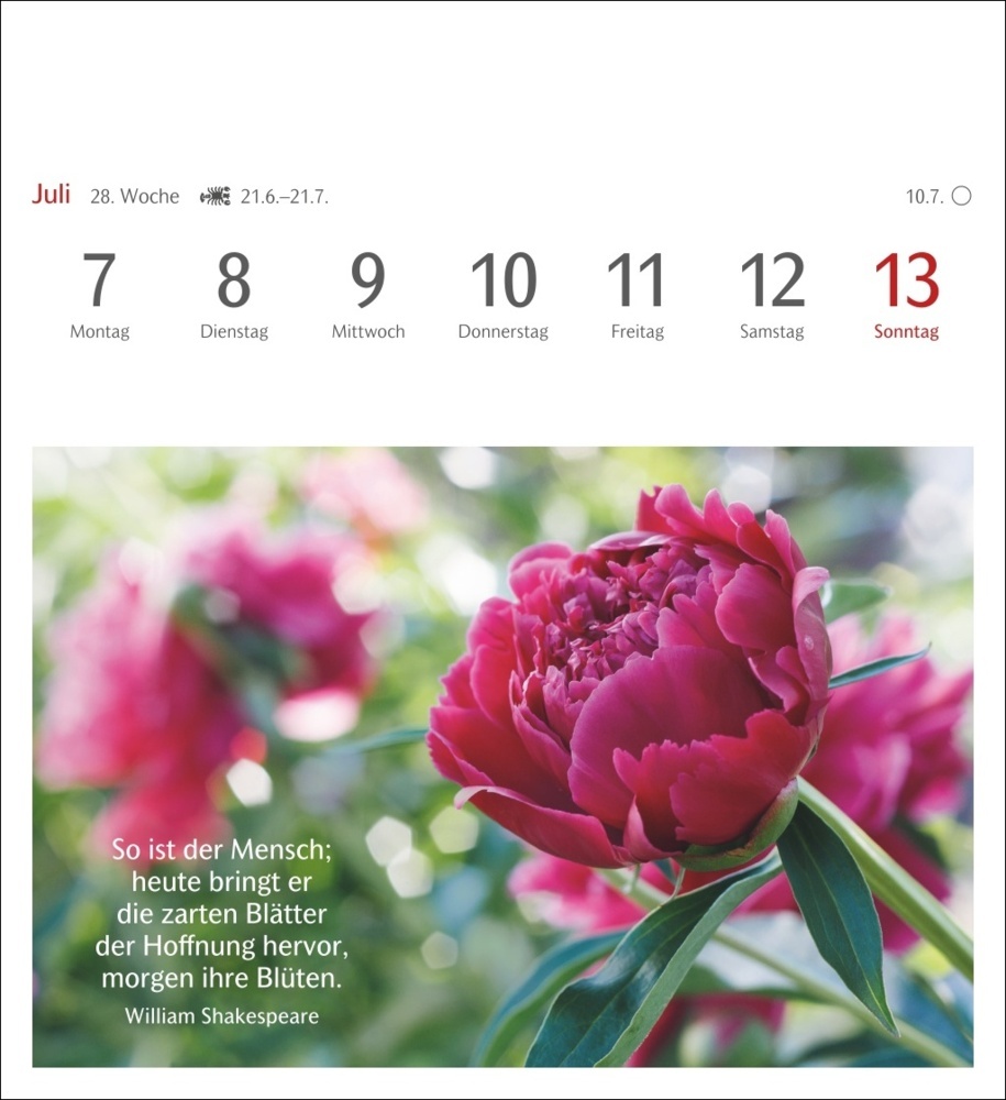 Bild: 9783840033834 | Momente des Glücks Postkartenkalender 2025 - Wochenkalender mit...