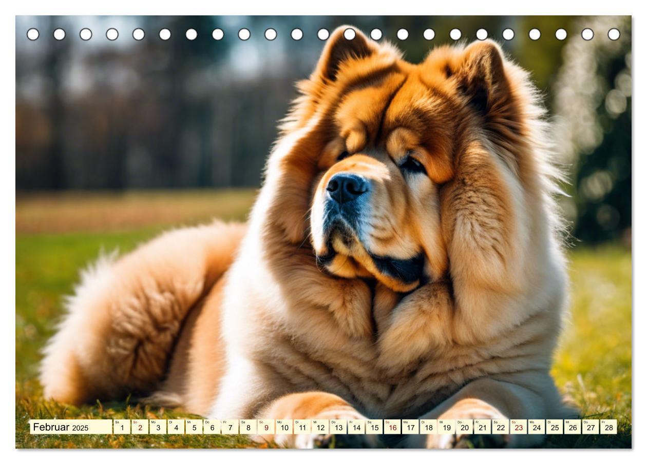 Bild: 9783457036945 | Chow Chow - der Löwenkopfhund (Tischkalender 2025 DIN A5 quer),...