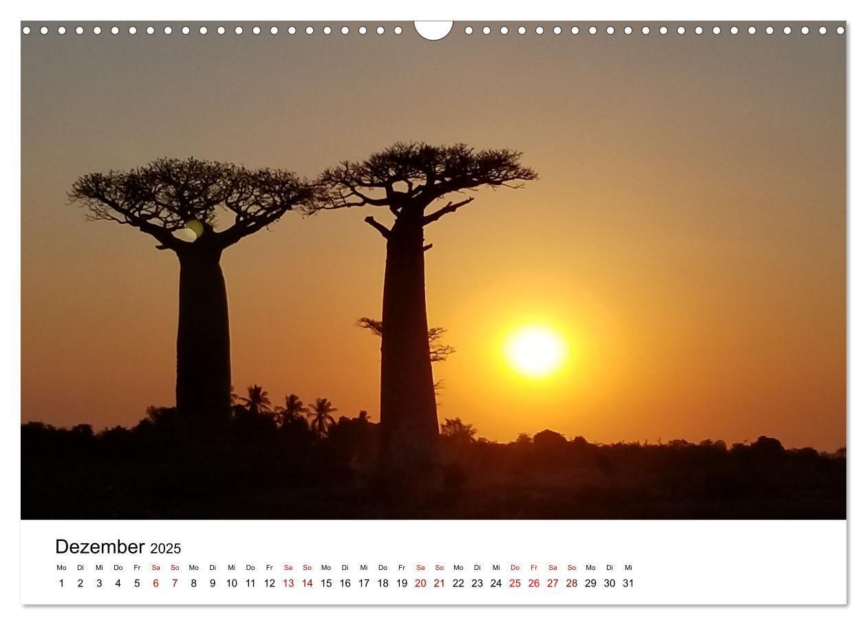 Bild: 9783383998089 | Naturparadies Madagaskar (Wandkalender 2025 DIN A3 quer), CALVENDO...