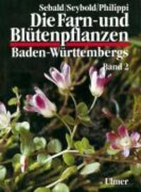 Cover: 9783800133239 | Die Farn- und Blütenpflanzen Baden-Württembergs 2 | Sebald | Buch