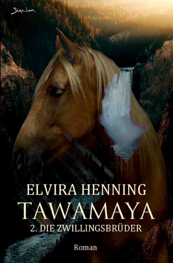 Cover: 9783757523855 | Tawamaya - 2.: Die Zwillingsbrüder | Ein historischer Roman. DE | Buch