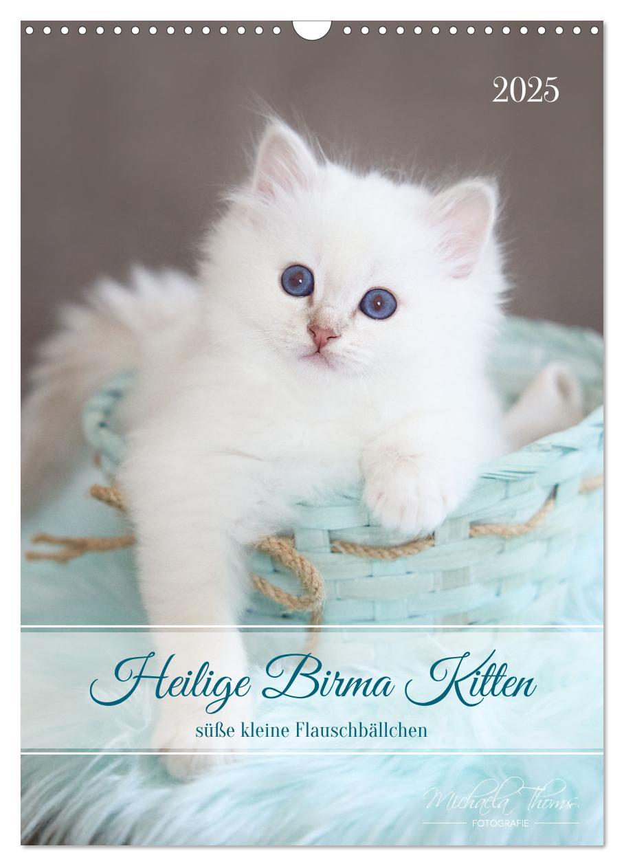 Cover: 9783435062706 | Heilige Birma Kitten - süße kleine Flauschbällchen (Wandkalender...