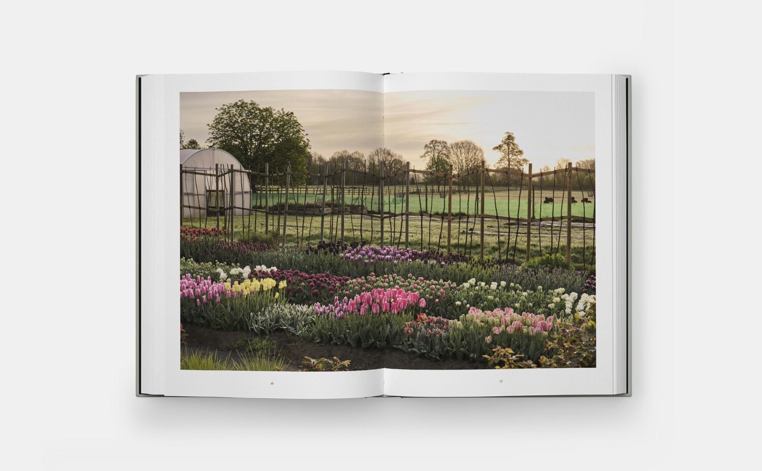 Bild: 9781838667689 | The Tulip Garden | Polly Nicholson (u. a.) | Buch | Phaidon Press