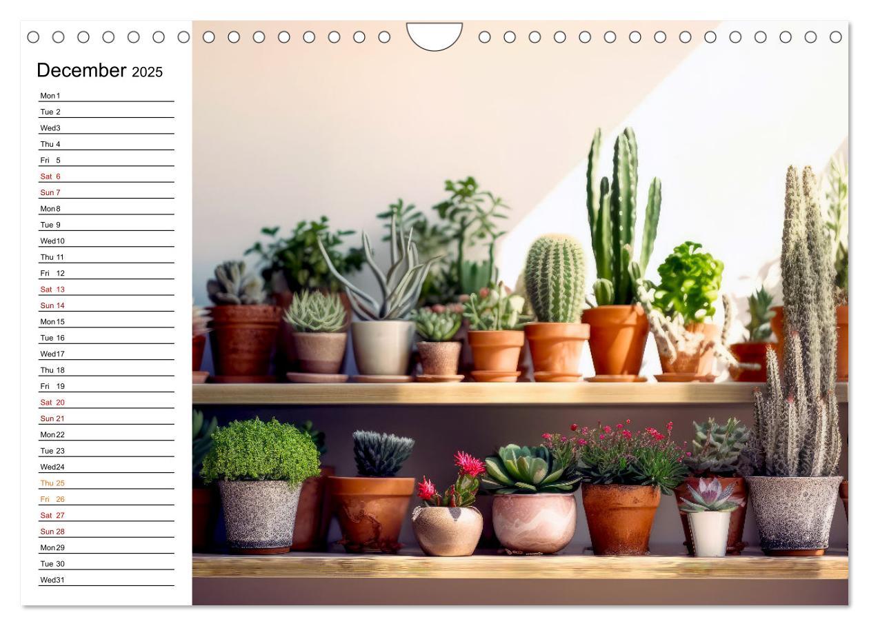 Bild: 9781325833092 | Cacti Wonderland (Wall Calendar 2025 DIN A4 landscape), CALVENDO 12...