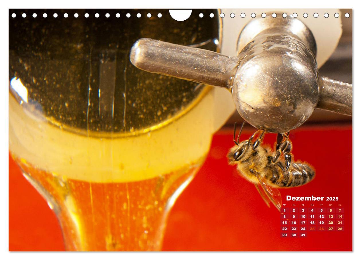 Bild: 9783435125142 | Ein Leben für den Honig - Bienen und Imker (Wandkalender 2025 DIN...