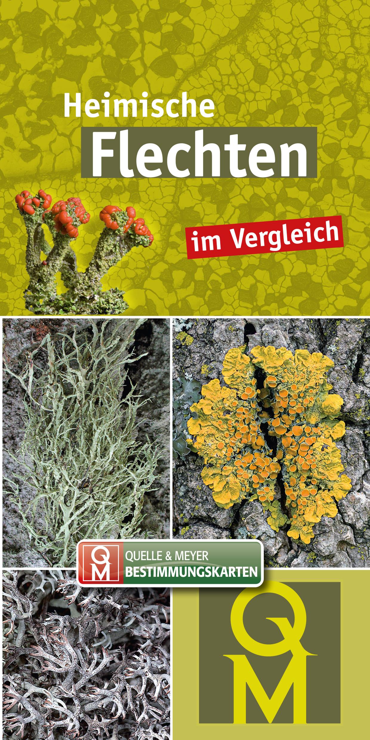 Cover: 9783494019475 | Heimische Flechten | im Vergleich | Quelle &amp; Meyer Verlag | Buch