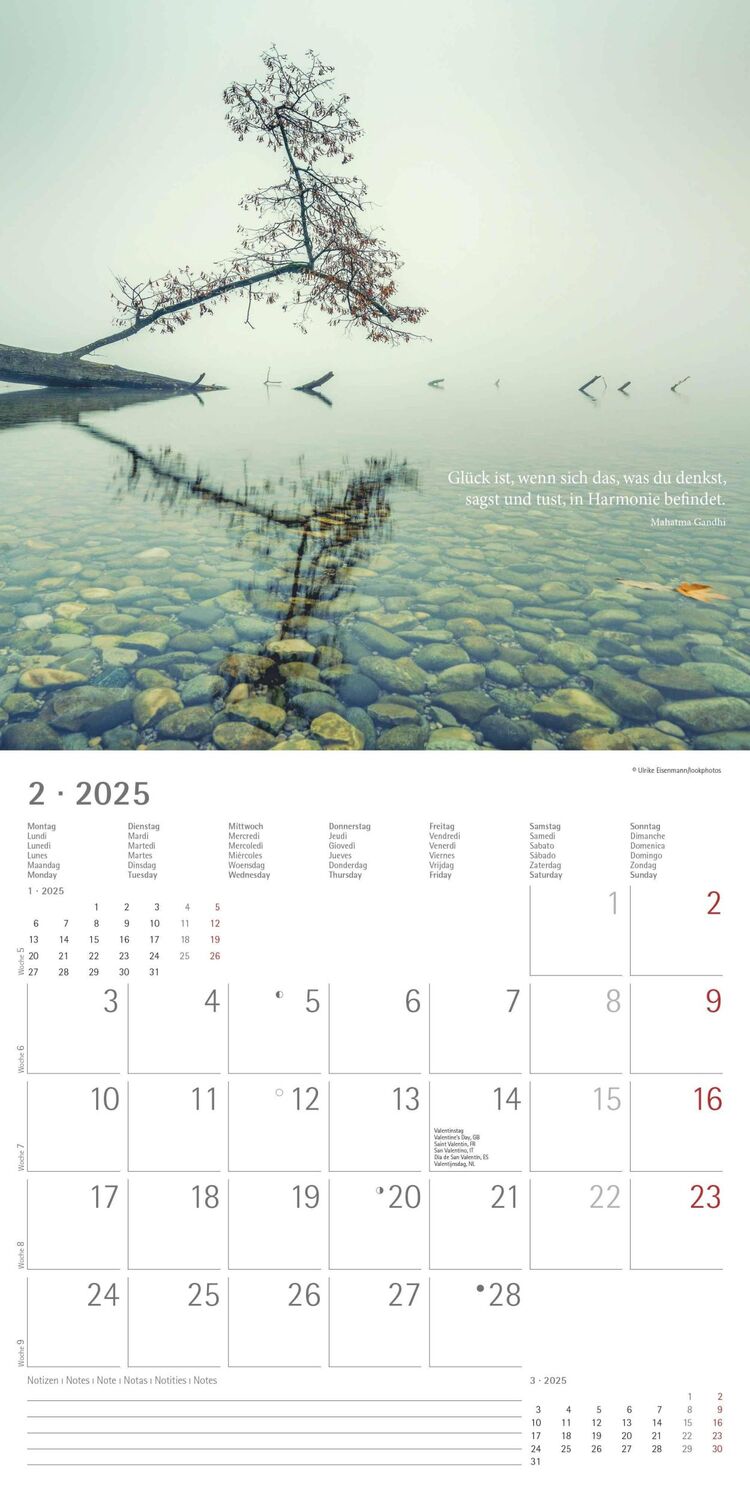 Bild: 4251732343149 | Meditation 2025 - Broschürenkalender 30x30 cm (30x60 geöffnet) -...