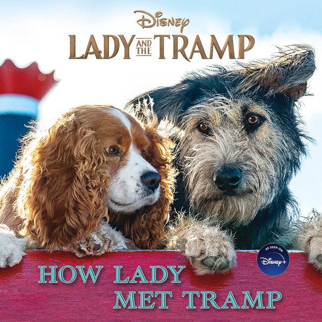 Cover: 9781368059251 | Lady and the Tramp: How Lady Met Tramp | Elle Stephens | Taschenbuch