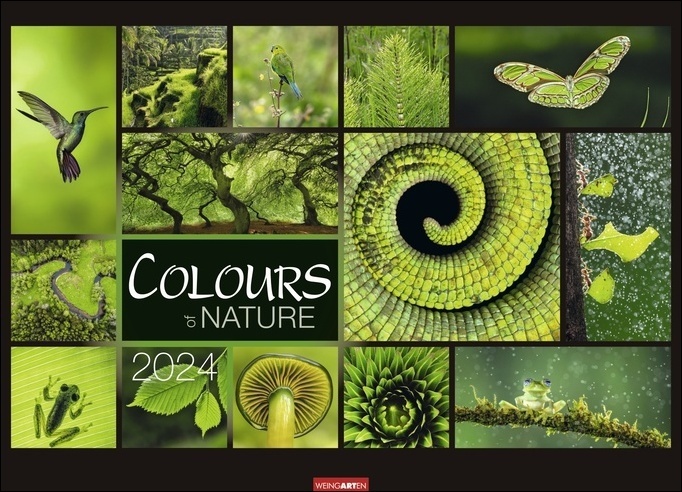 Cover: 9783840083723 | Colours of Nature Kalender 2024. Großer Foto-Wandkalender im...