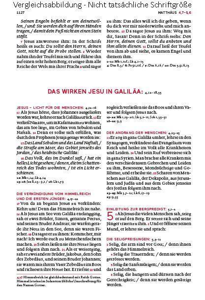 Bild: 9783460440135 | Die Bibel. Mit Sonderseiten für junge Menschen. | Agnes Wuckelt | Buch