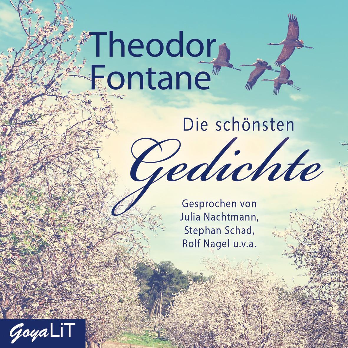 Cover: 9783833739033 | Die schönsten Gedichte | Theodor Fontane (u. a.) | Audio-CD | Deutsch