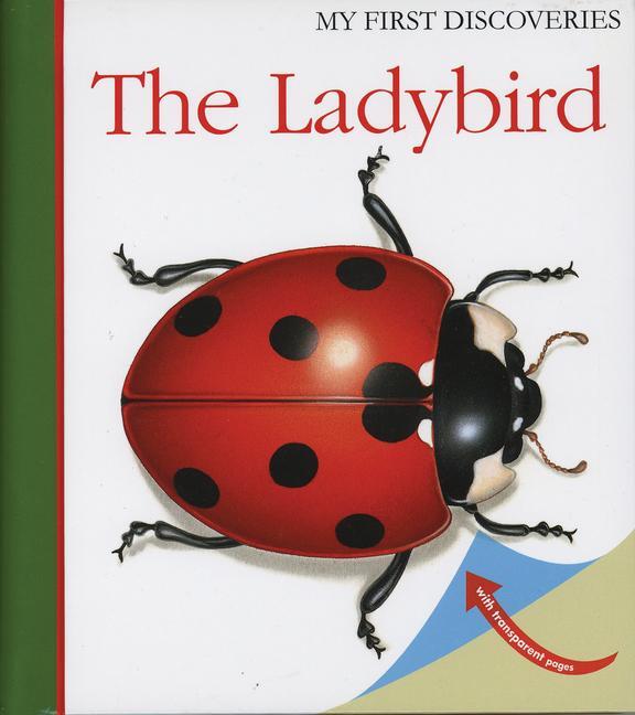 Cover: 9781851033843 | The Ladybird | Pascale de Bourgoing | Taschenbuch | Englisch | 2009