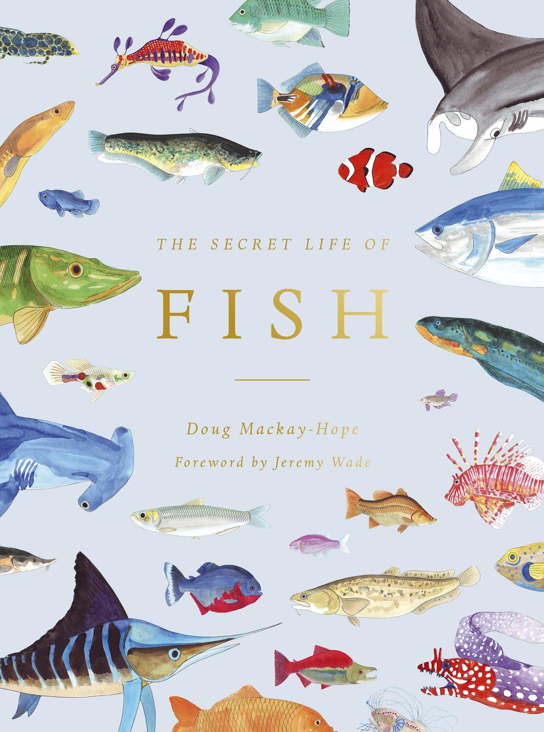 Cover: 9780711260993 | The Secret Life of Fish: The Astonishing Truth about Our Aquatic...