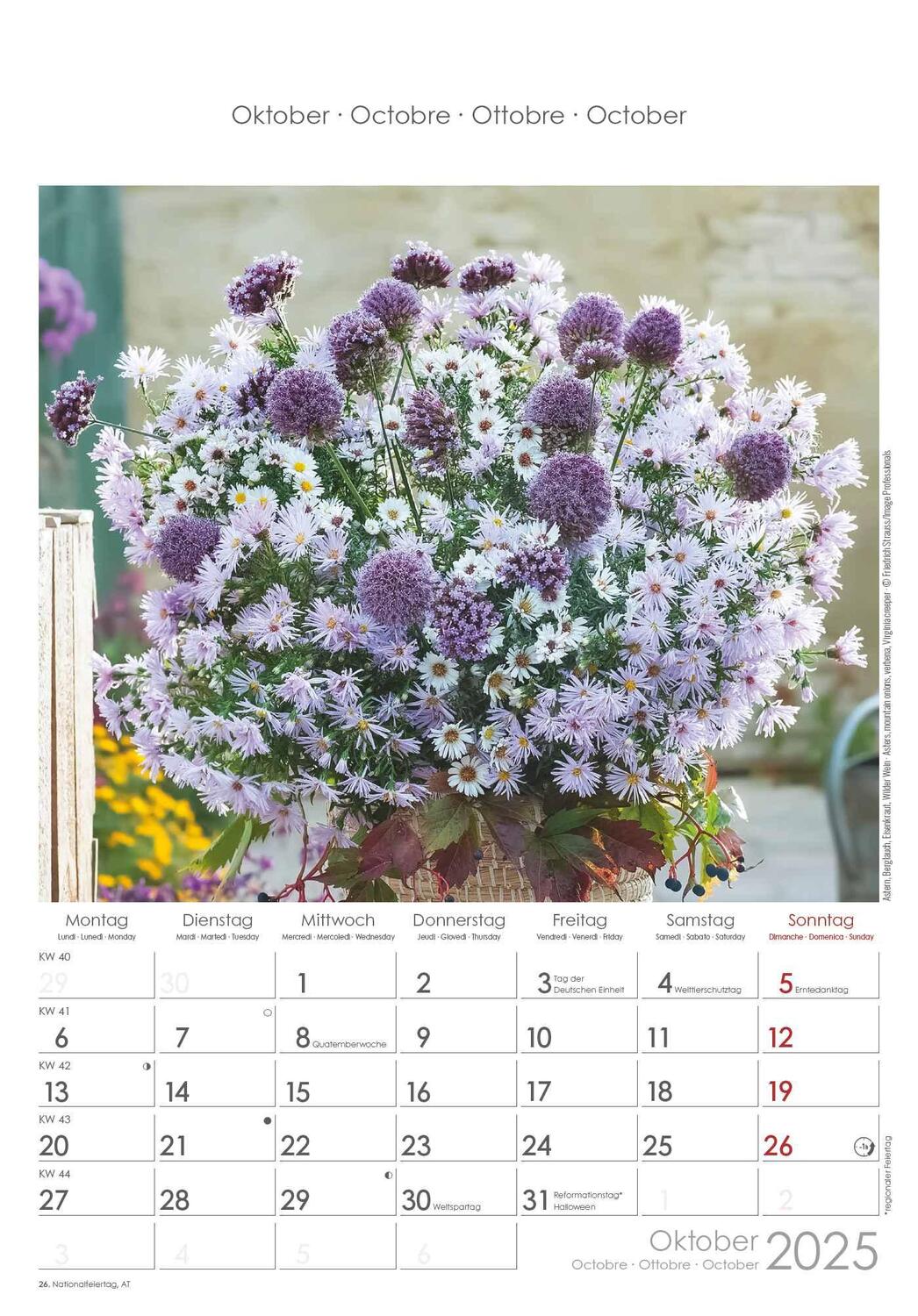 Bild: 4251732341008 | Blumen 2025 - Bildkalender 23,7x34 cm - Kalender mit Platz für...