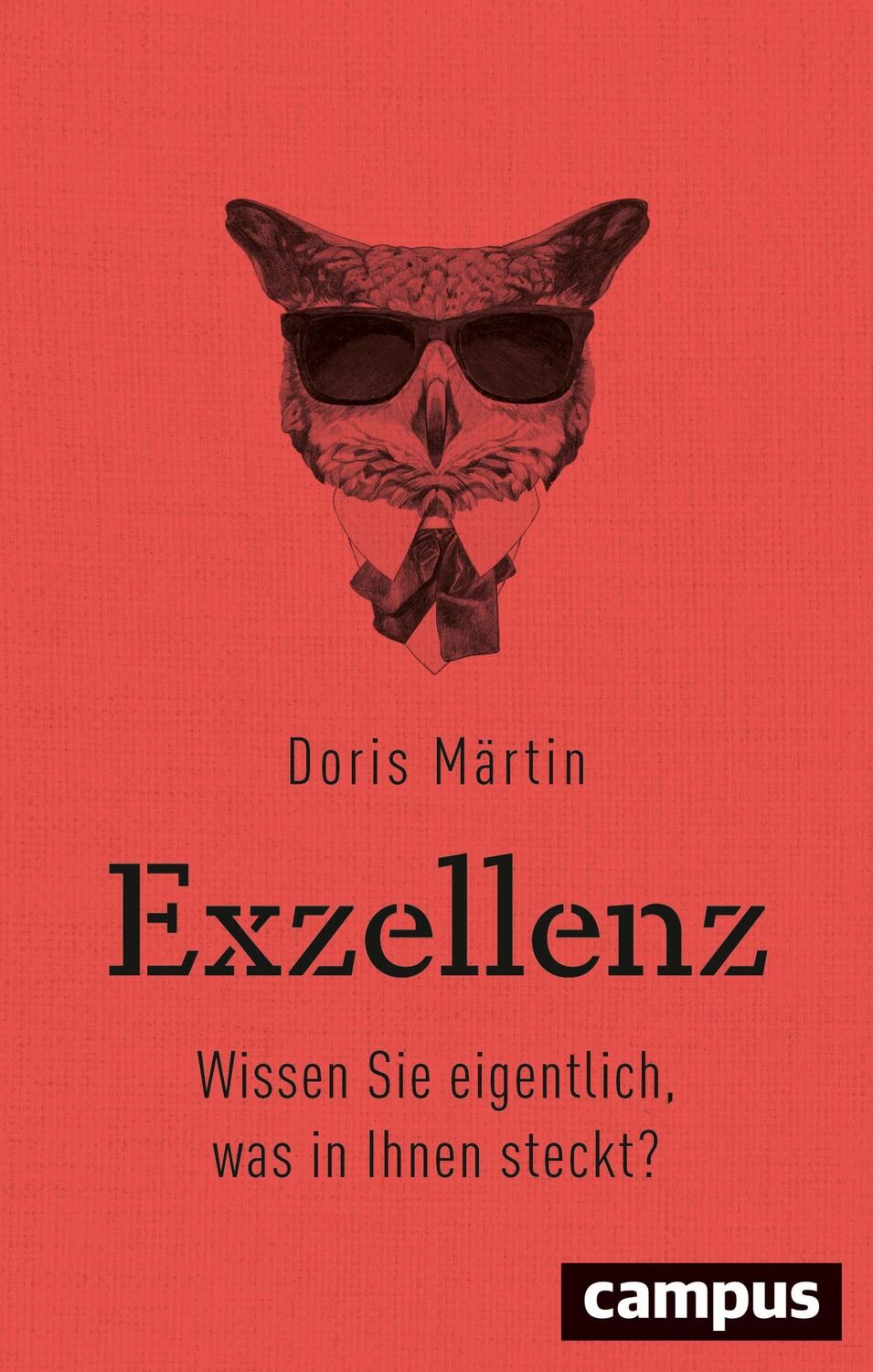 Cover: 9783593513782 | Exzellenz | Wissen Sie eigentlich, was in Ihnen steckt? | Doris Märtin