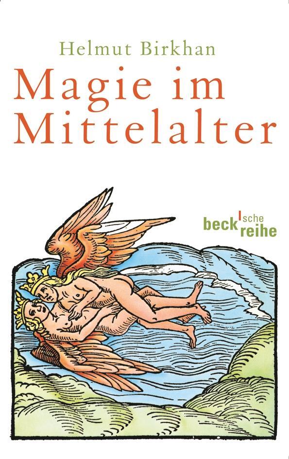 Magie im Mittelalter - Birkhan, Helmut