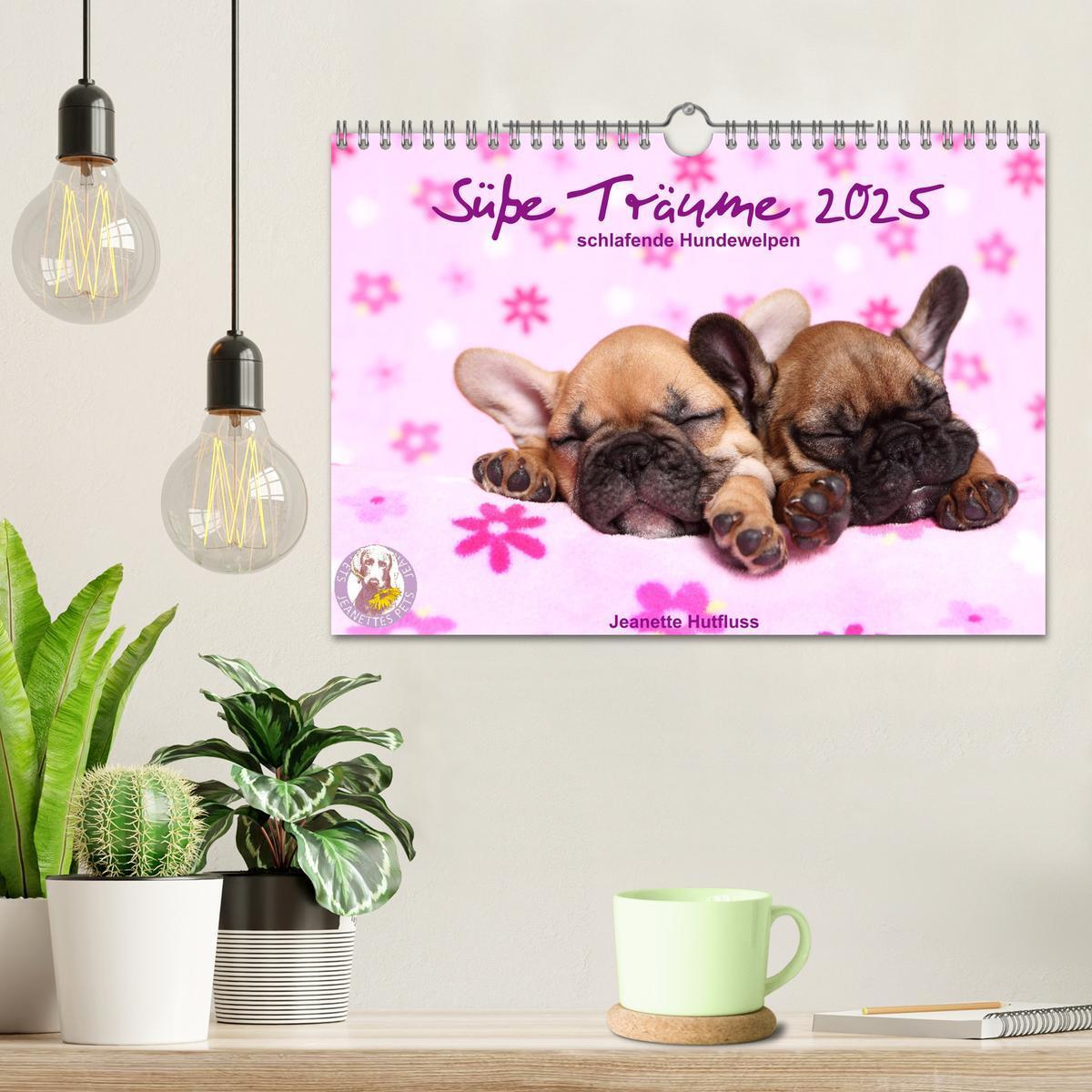 Bild: 9783435160716 | Süße Träume 2025 - schlafende Hundewelpen (Wandkalender 2025 DIN A4...