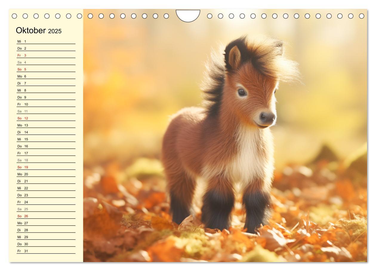 Bild: 9783435011605 | Kleine Pferde. Mini-Ponys zum verlieben (Wandkalender 2025 DIN A4...