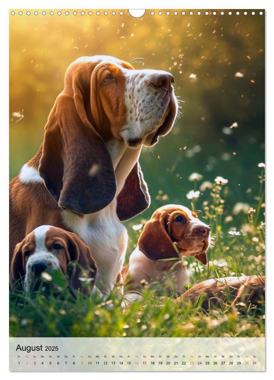 Bild: 9783383779886 | Basset Hound - freundlich und anhänglich (Wandkalender 2025 DIN A3...