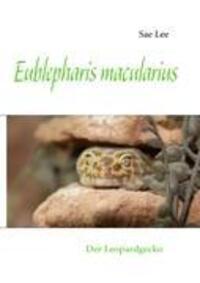 Cover: 9783839144503 | Eublepharis macularius | Der Leopardgecko | Sae Lee | Taschenbuch