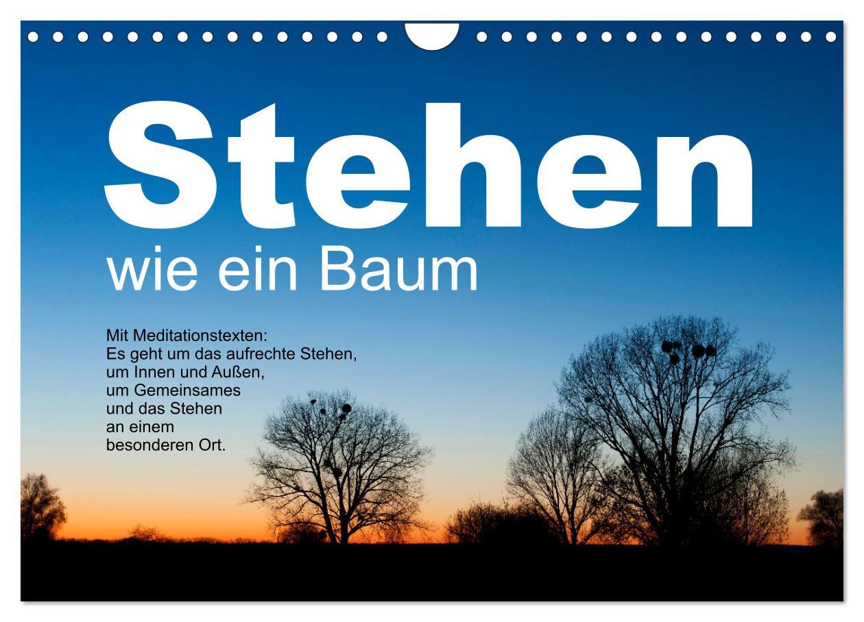 Cover: 9783383855825 | Stehen wie ein Baum (Wandkalender 2025 DIN A4 quer), CALVENDO...