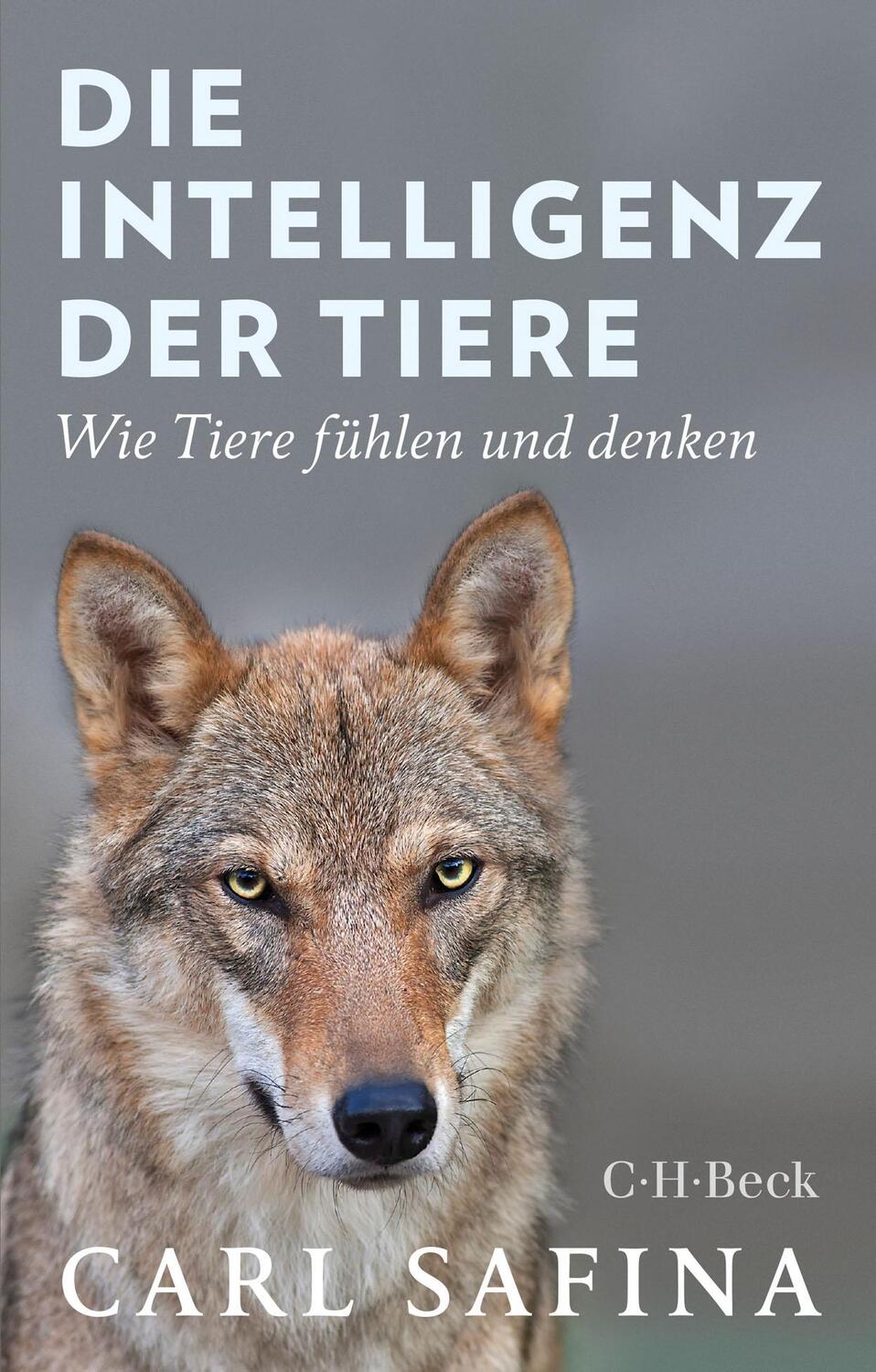 Cover: 9783406739583 | Die Intelligenz der Tiere | Wie Tiere fühlen und denken | Carl Safina