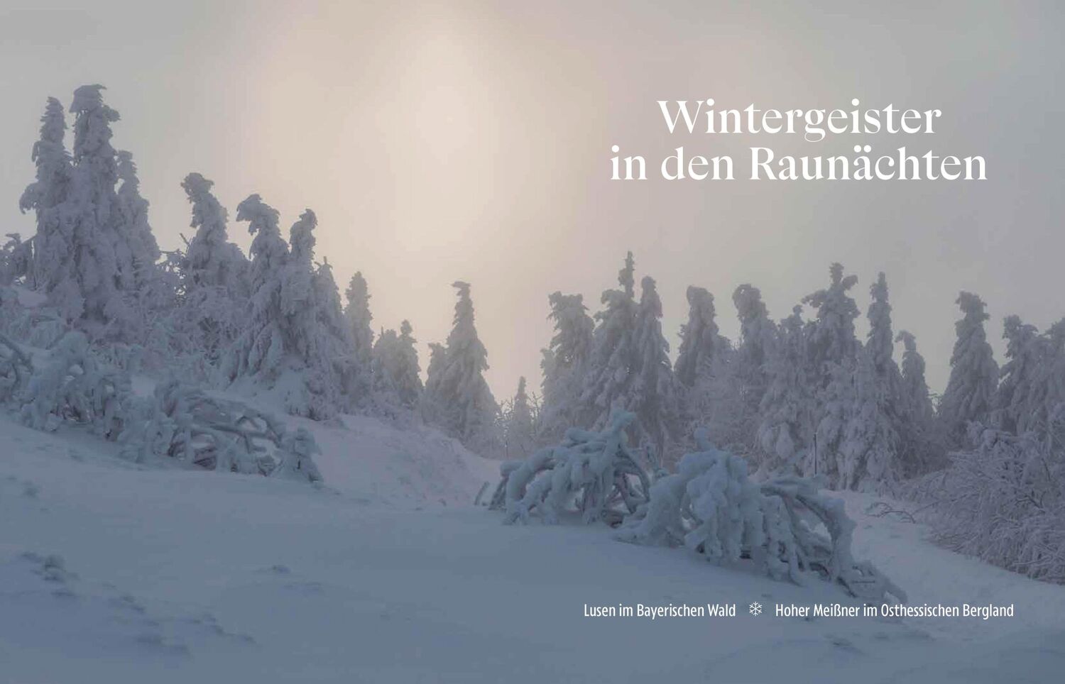 Bild: 9783791380056 | Winterreise | Deutschland in der kalten Jahreszeit | Schlüter | Buch