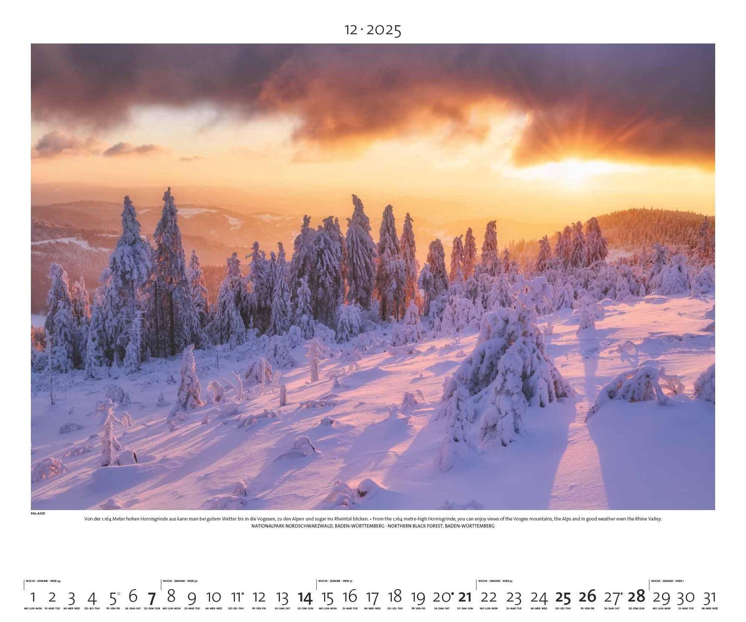 Bild: 4251734300744 | PALAZZI - Naturland Deutschland 2025 Wandkalender, 60x50cm,...