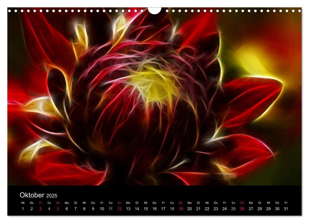 Bild: 9783435771554 | Floral Abstrakt 2025 (Wandkalender 2025 DIN A3 quer), CALVENDO...