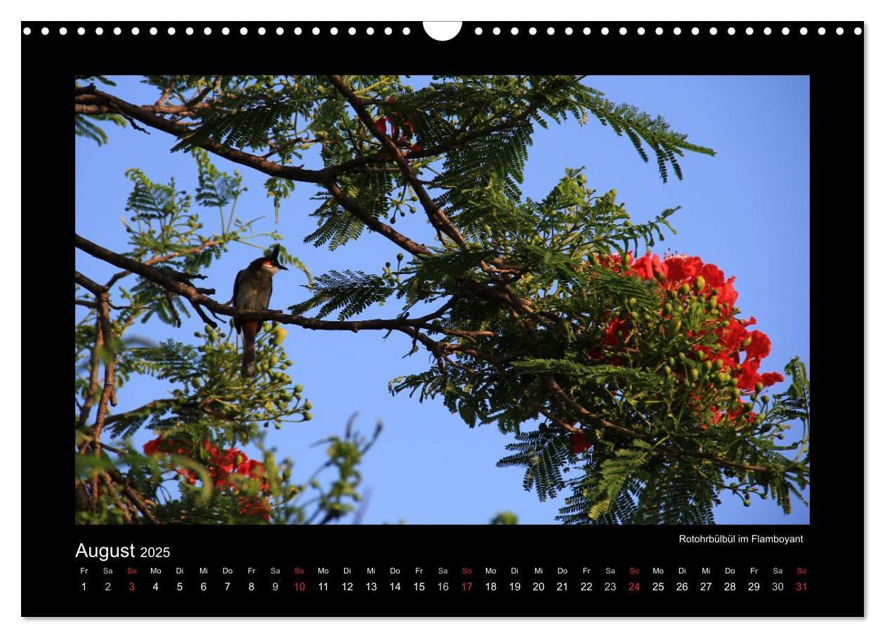 Bild: 9783435823420 | Mauritius - traumhaft und unvergesslich (Wandkalender 2025 DIN A3...