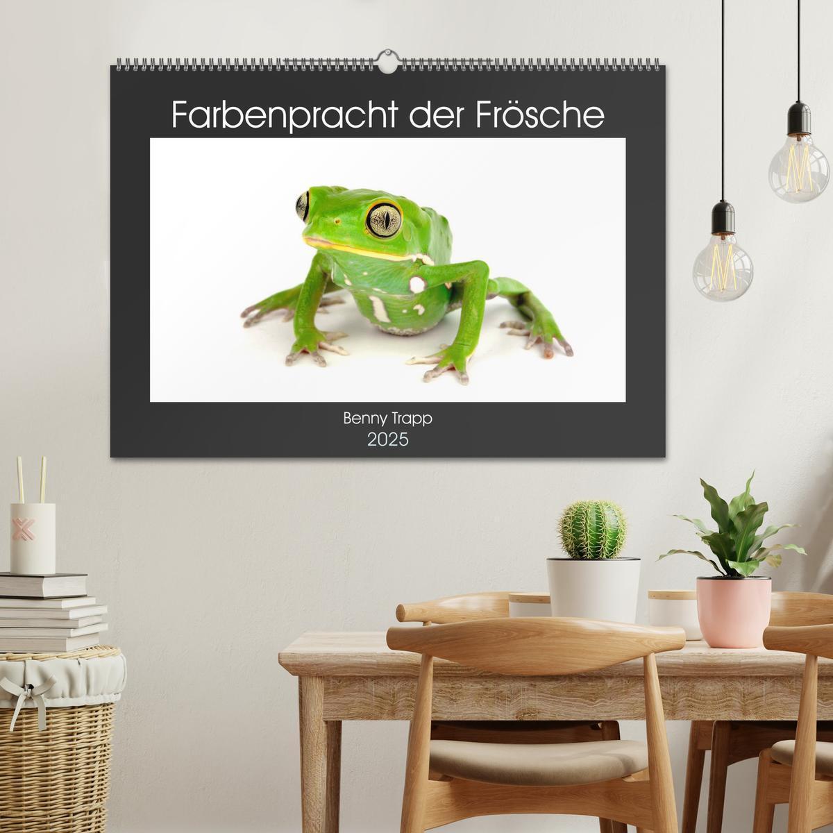 Bild: 9783435398454 | Farbenpracht der Frösche (Wandkalender 2025 DIN A2 quer), CALVENDO...