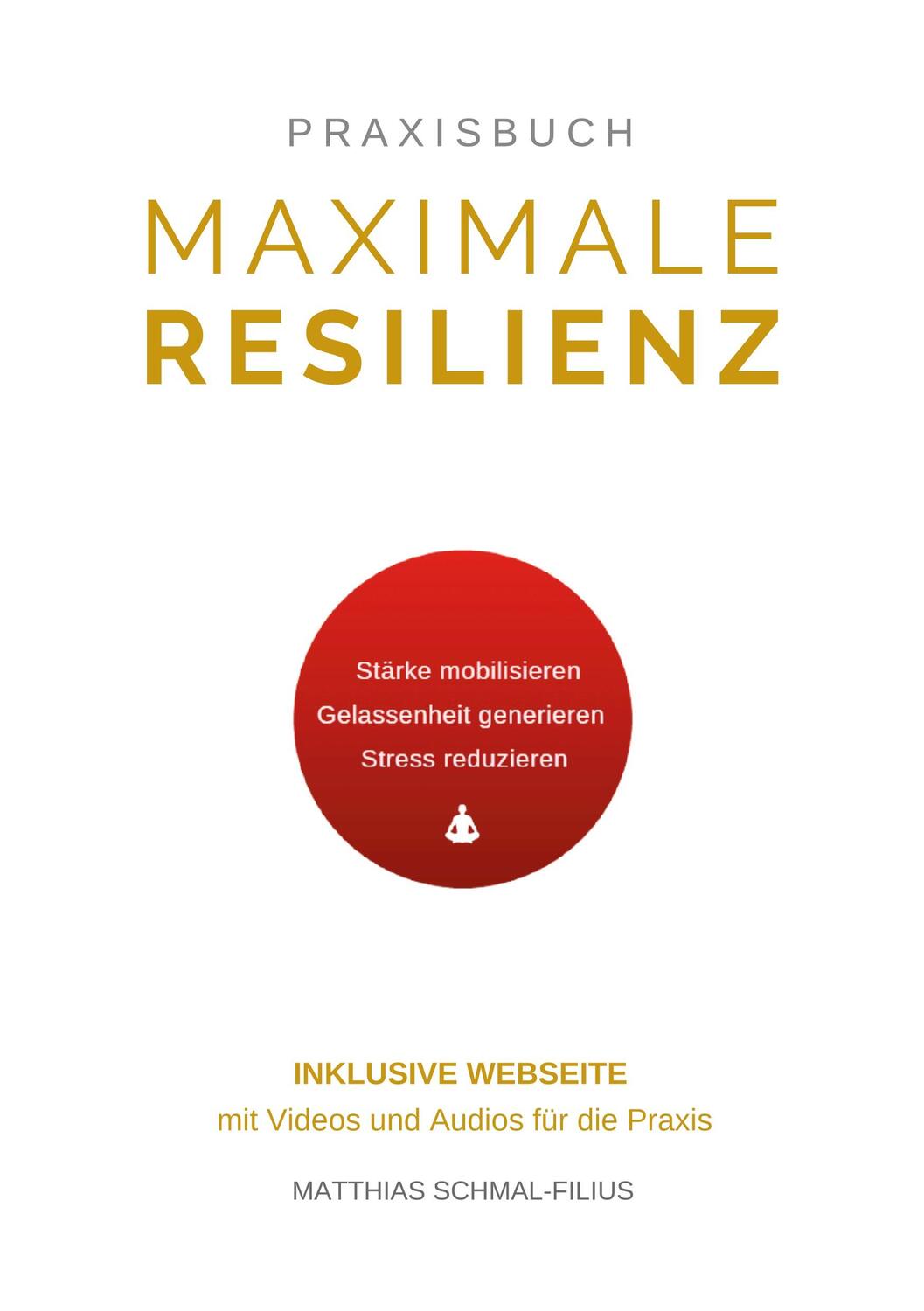 Cover: 9783751944137 | Maximale Resilienz | Matthias Schmal-Filius | Taschenbuch