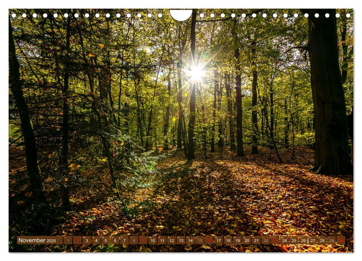 Bild: 9783383777813 | Moin Moormerland (Wandkalender 2025 DIN A4 quer), CALVENDO...