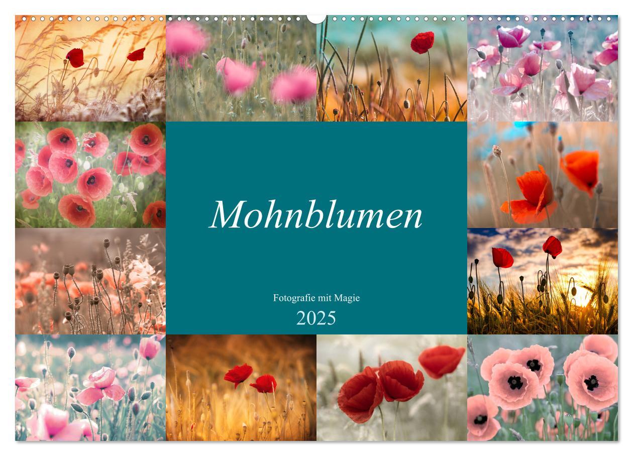 Cover: 9783435287420 | Mohnblumen - Fotografie mit Magie (Wandkalender 2025 DIN A2 quer),...