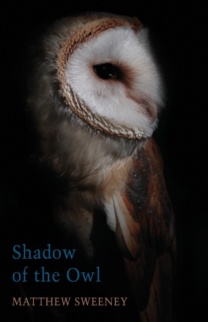 Cover: 9781780375427 | Shadow of the Owl | Matthew Sweeney | Taschenbuch | Paperback | 2020