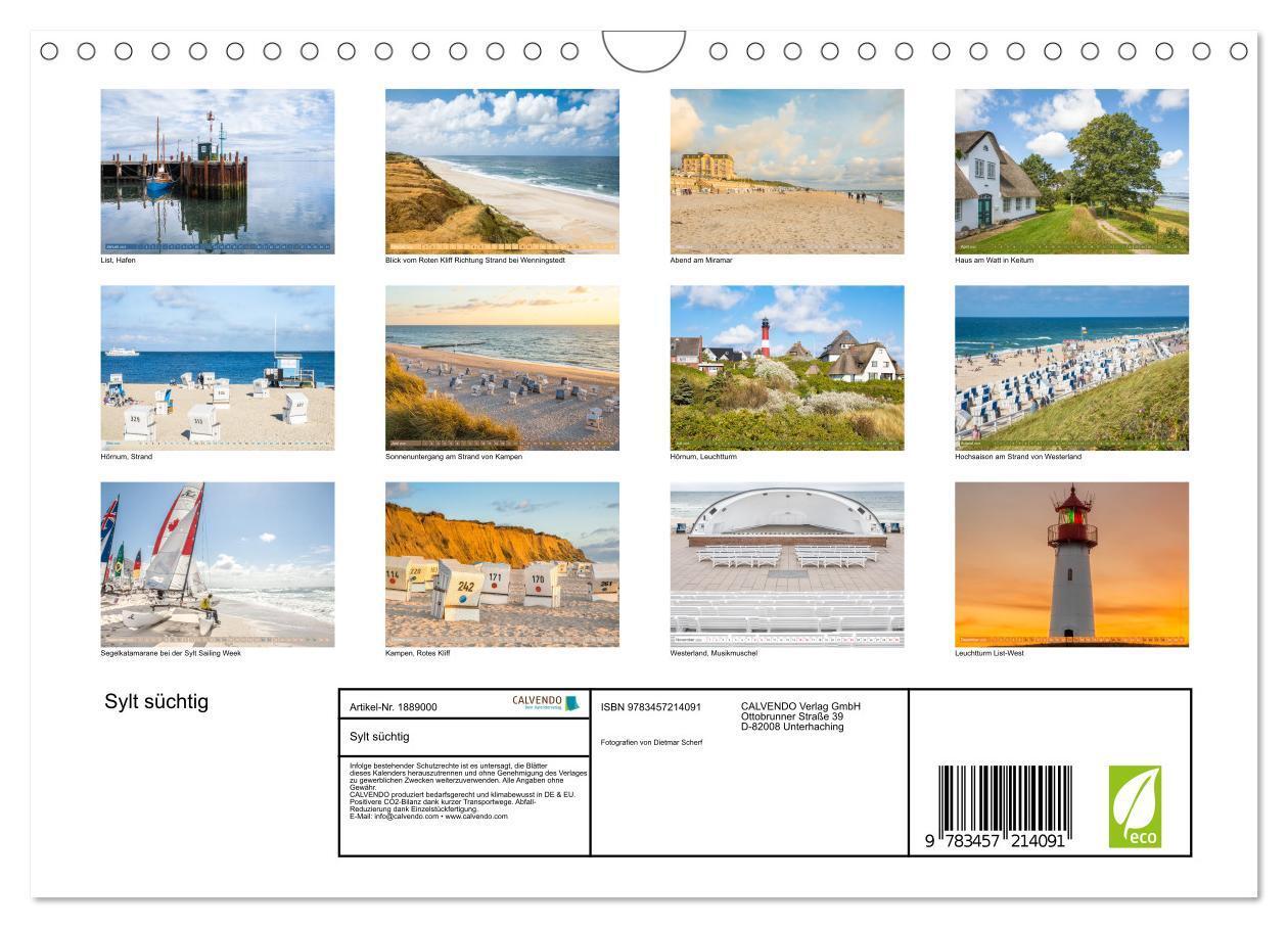 Bild: 9783457214091 | Sylt süchtig (Wandkalender 2025 DIN A4 quer), CALVENDO Monatskalender