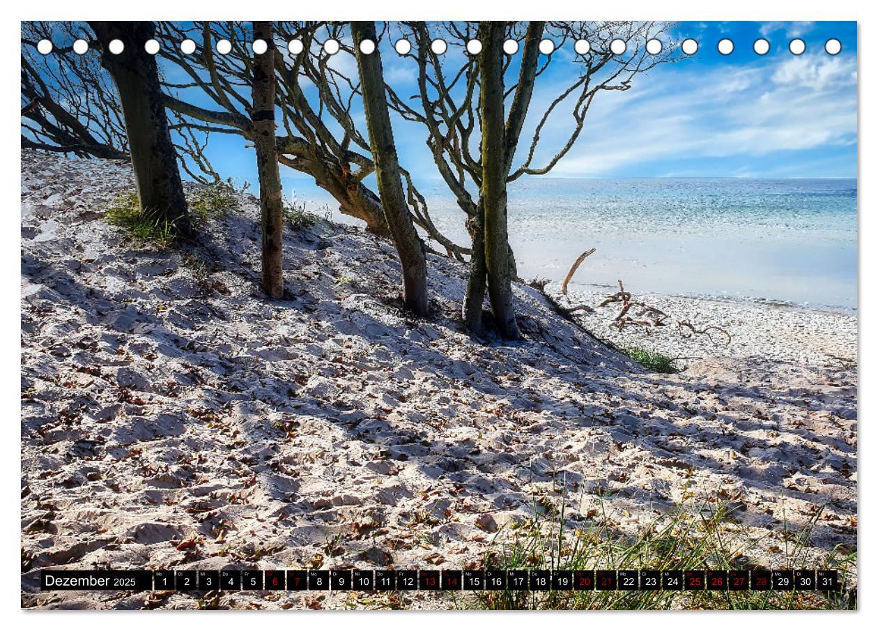 Bild: 9783435023288 | Fischland - Darß- Zingst (Tischkalender 2025 DIN A5 quer), CALVENDO...