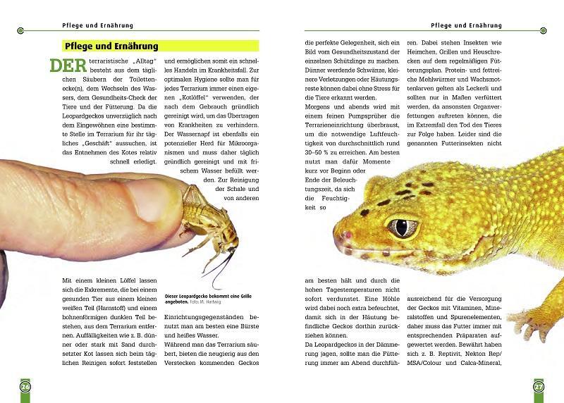 Bild: 9783866590618 | Der Leopardgecko - Eublepharis Macularius | Melanie Hartwig | Buch