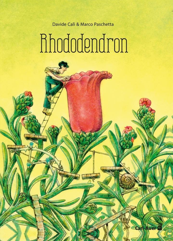 Cover: 9783968430638 | Rhododendron | Davide Calì | Buch | Carl-Auer Kids | 32 S. | Deutsch