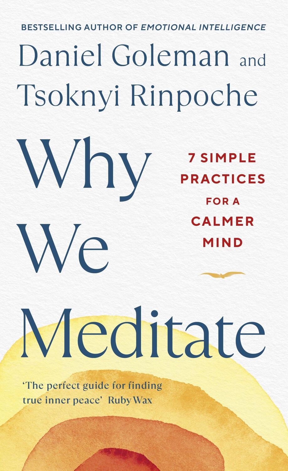 Bild: 9780241527870 | Why We Meditate | 7 Simple Practices for a Calmer Mind | Buch | 224 S.