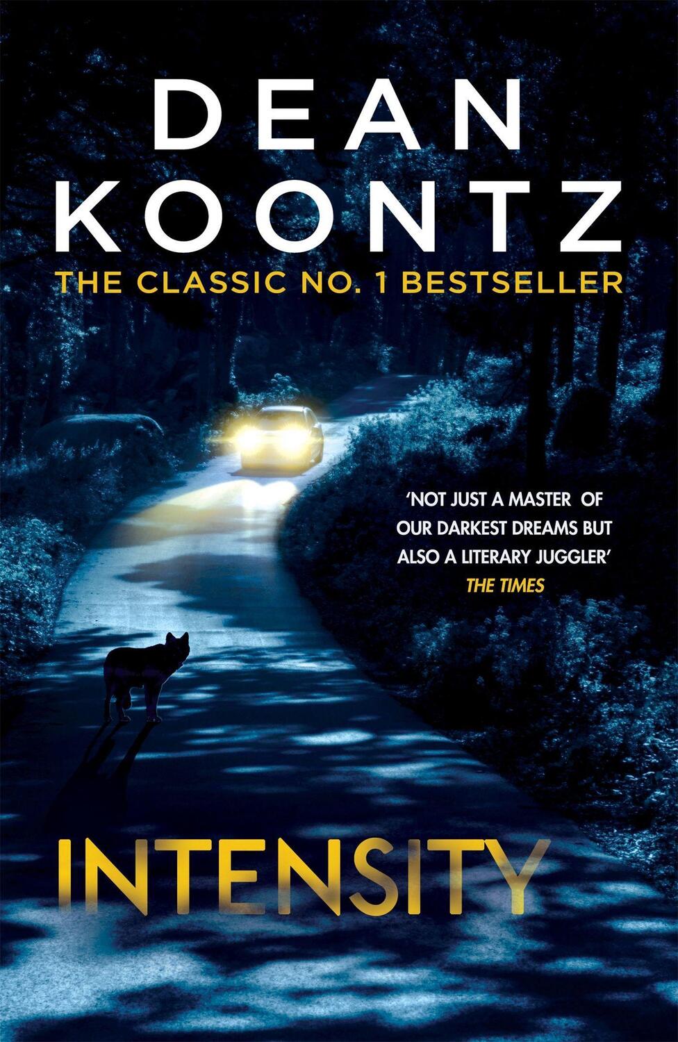 Cover: 9781472248176 | Intensity | A powerful thriller of violence and terror | Dean Koontz