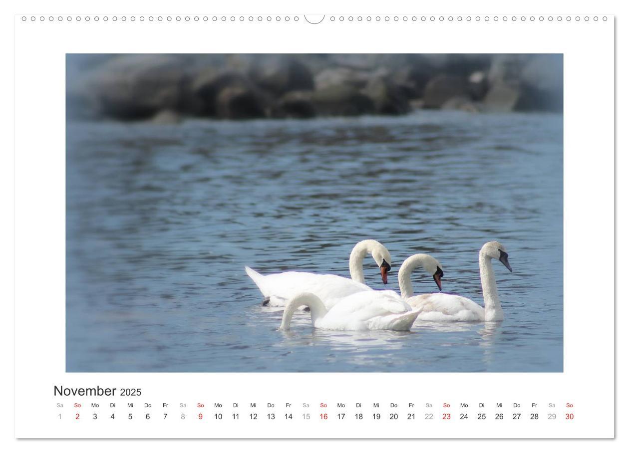 Bild: 9783435622351 | Sonneninsel Bornholm (hochwertiger Premium Wandkalender 2025 DIN A2...